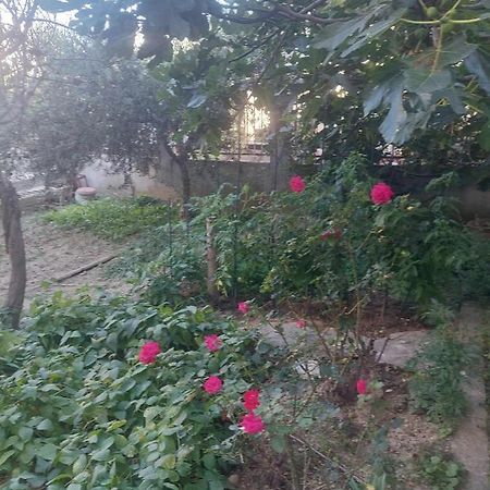 Holiday Apartment Сплит Екстериор снимка