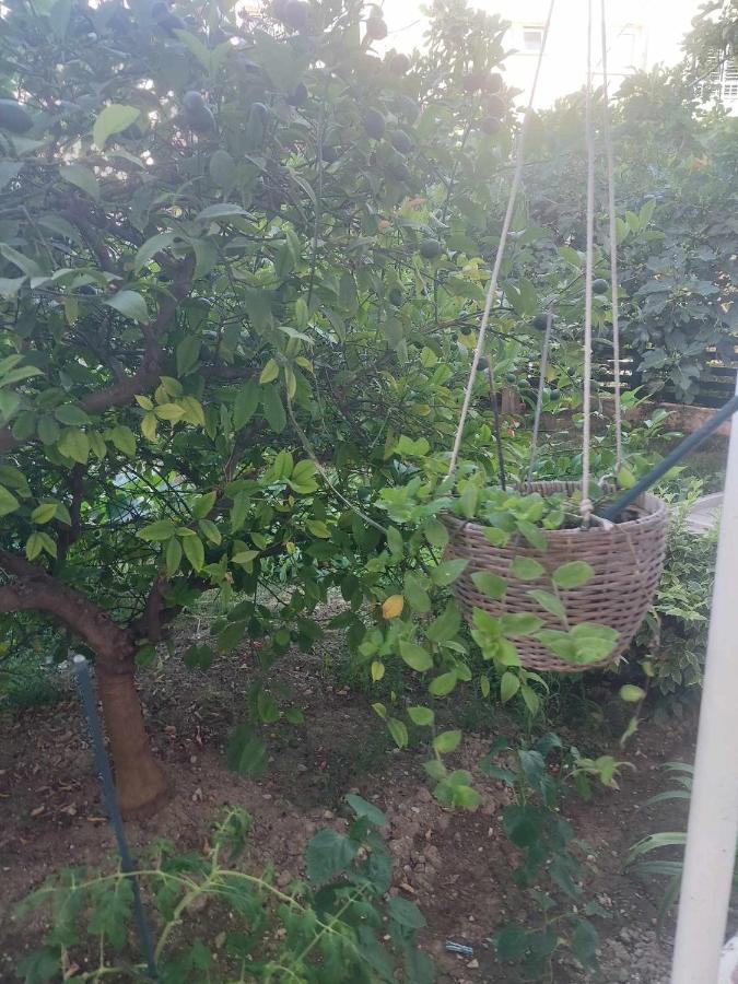 Holiday Apartment Сплит Екстериор снимка